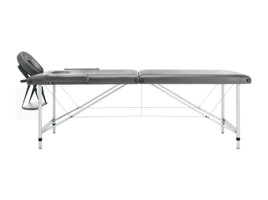 Table de massage 2 argenté 186 x 68 x 59 cm 02_0001797
