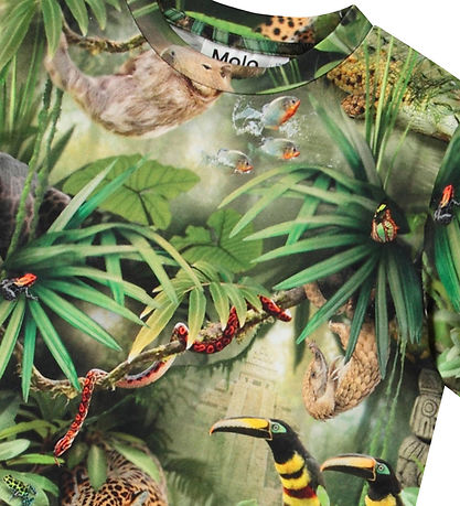 Molo T-Shirt - Ralphie - Jungle Animals