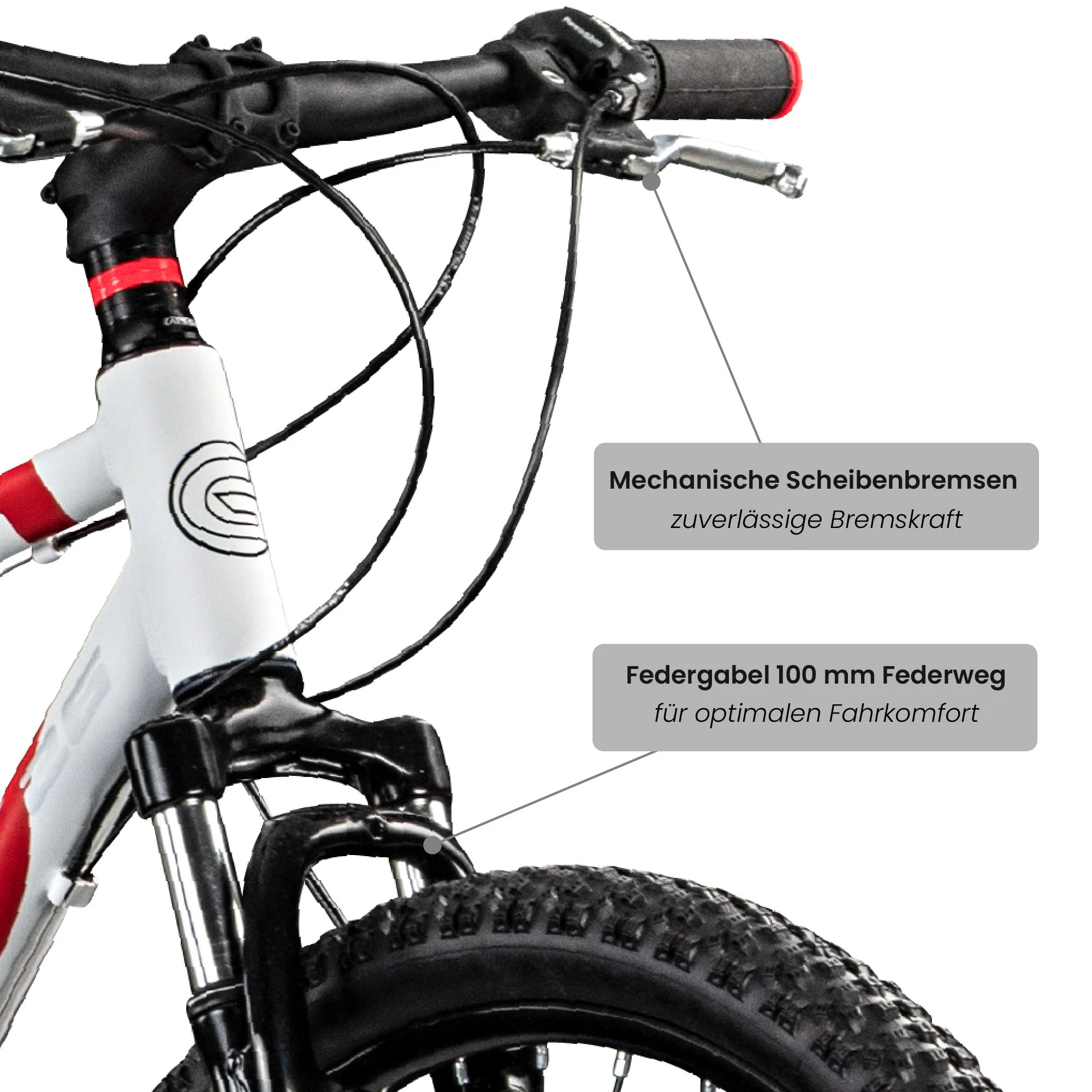Galano Toxic 26 Zoll Mountainbike 145 - 185 cm MTB Hardtail Fahrrad 21 Gänge Scheibenbremsen Damen Herren Jugendliche unisex