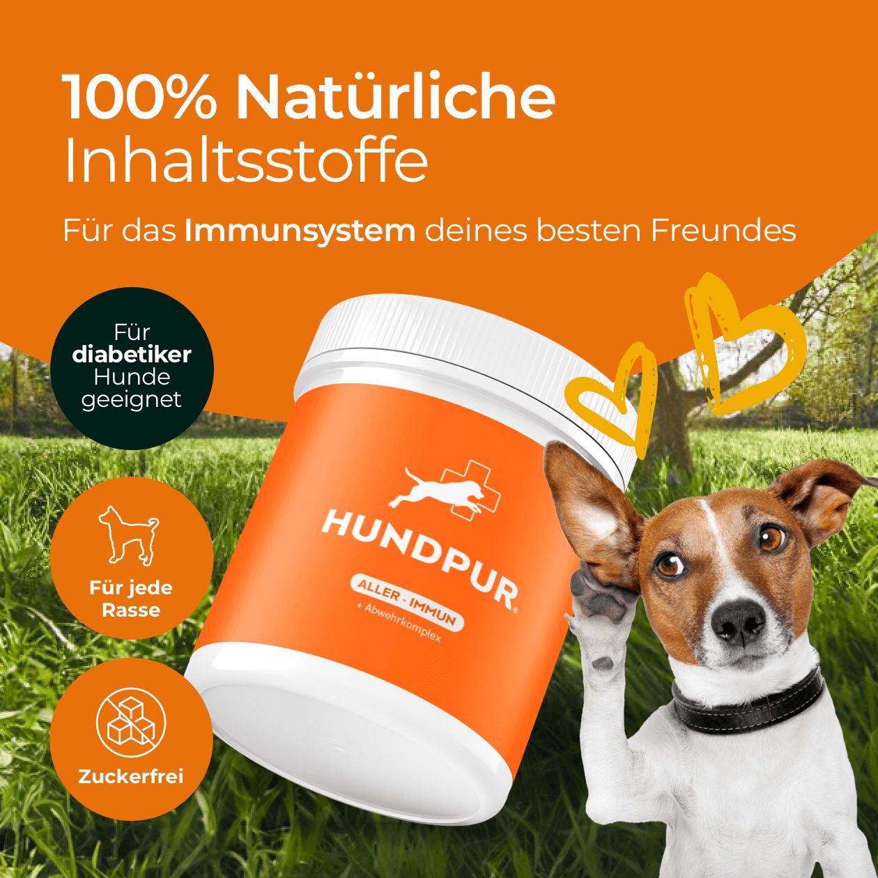 HUNDPUR® ALLER-IMMUN MIT ABWEHR-KOMPLEX