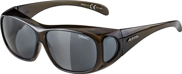 OVERVIEW Brille mit dunkelgrauem Glas  schwarz