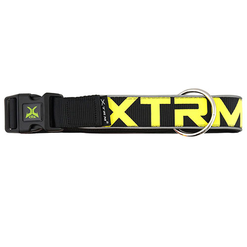 Coleira para cães X-TRM Neon Flash preta