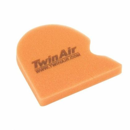 Filtre à air Twin air 151335