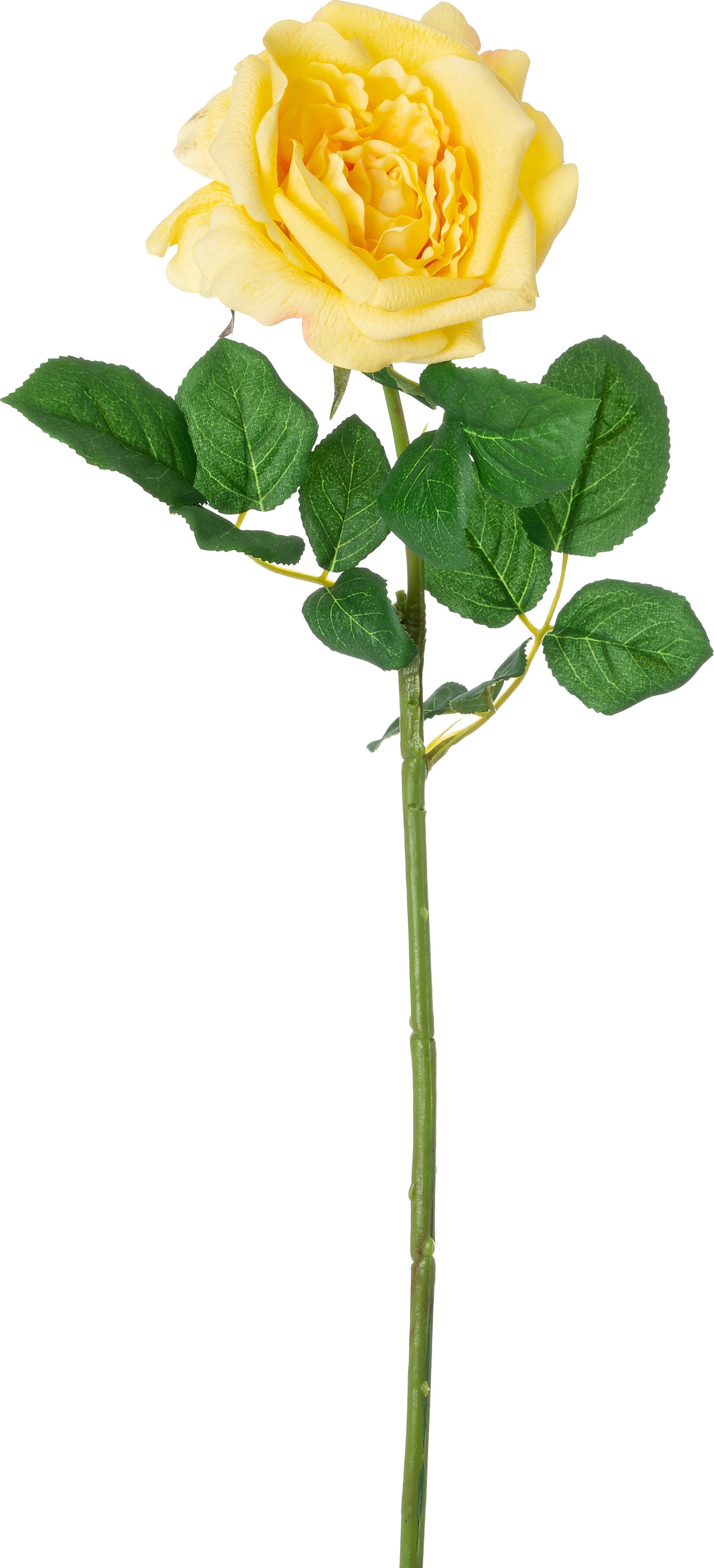 Intratuin kunstbloem Roos goud 65 cm
