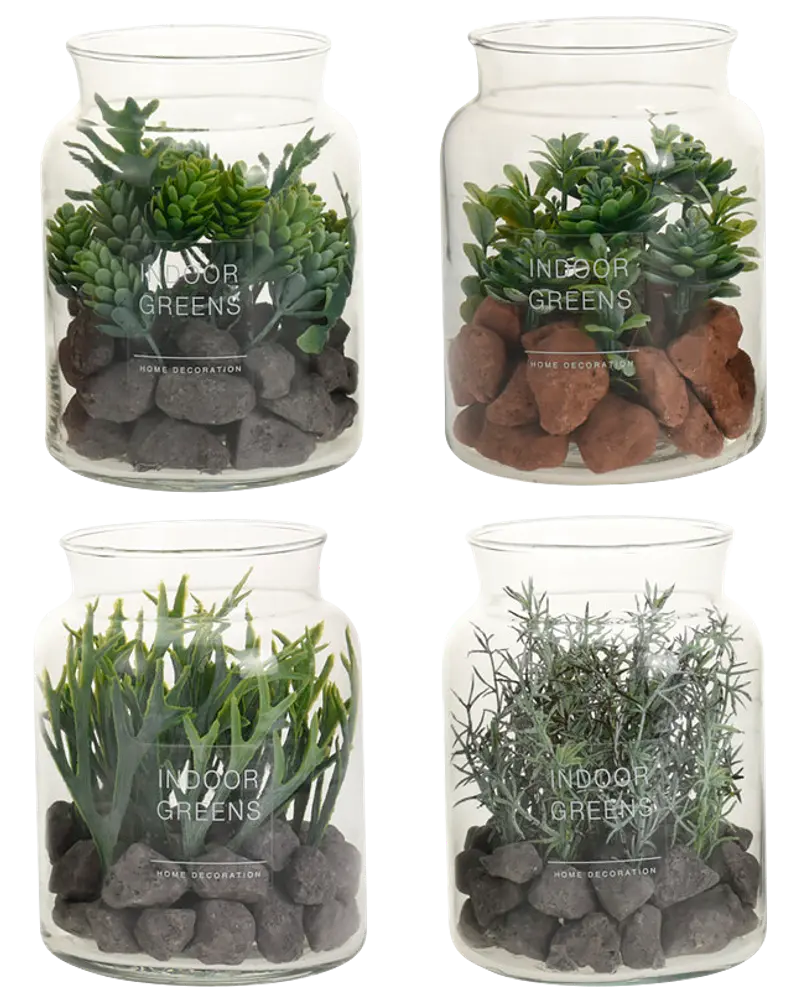 Plante i glasskål - assorterede varianter
