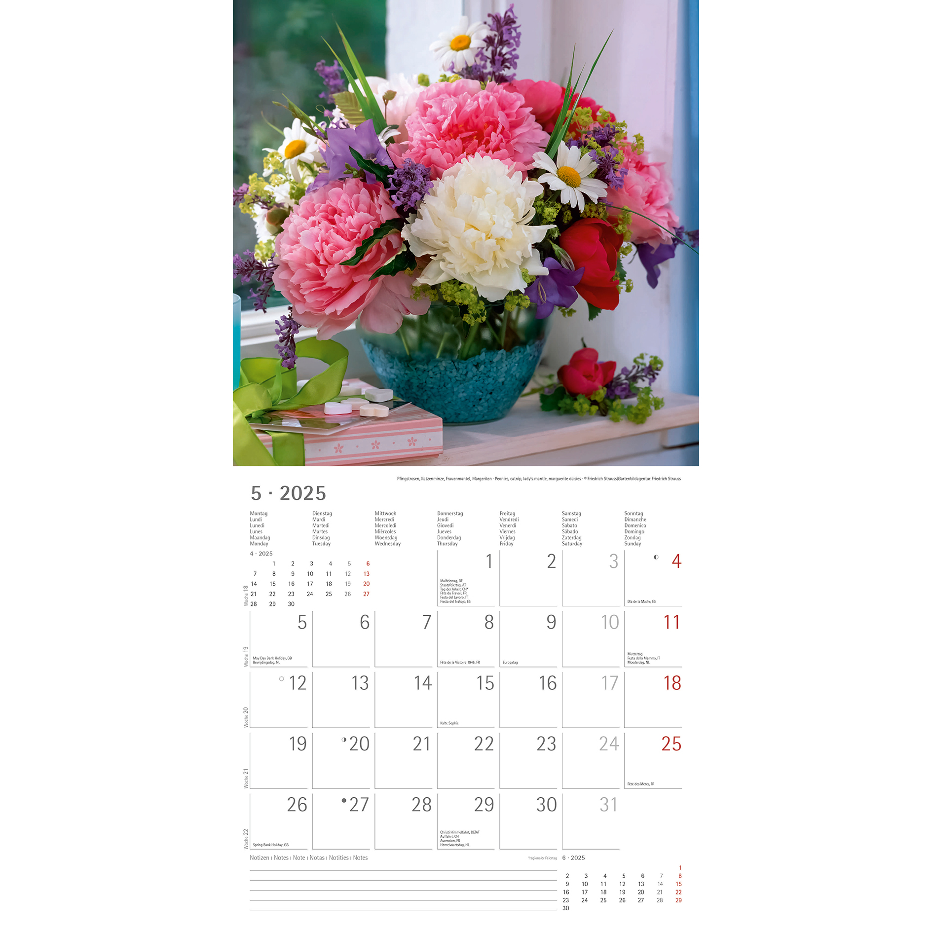 Broschürenkalender 2025 - Blumen - 30x30 cm
