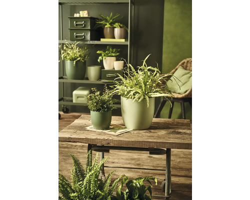 Soendgen Basel Fashion keramische plantenbak, Ø 10 cm, H 8 cm, mosgroen