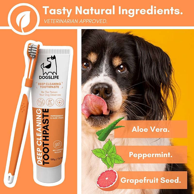 OurDogsLife Dental Kit Hond | 13001