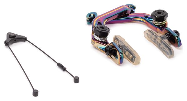 Kit Frein Arrière Eclat Unit Oil Slick