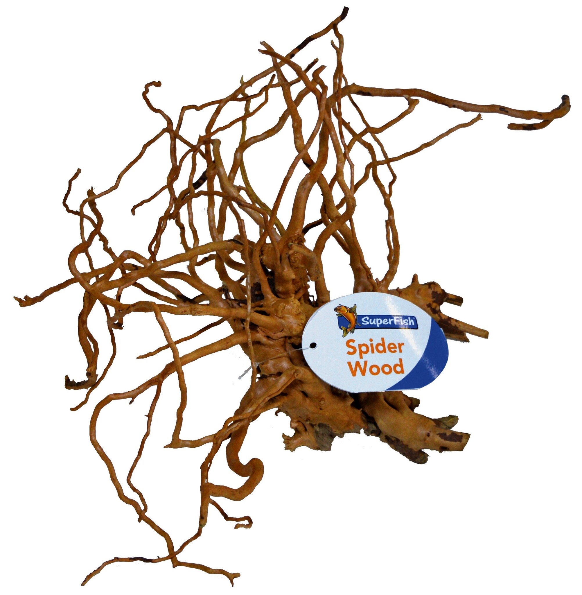 Spiderwood M