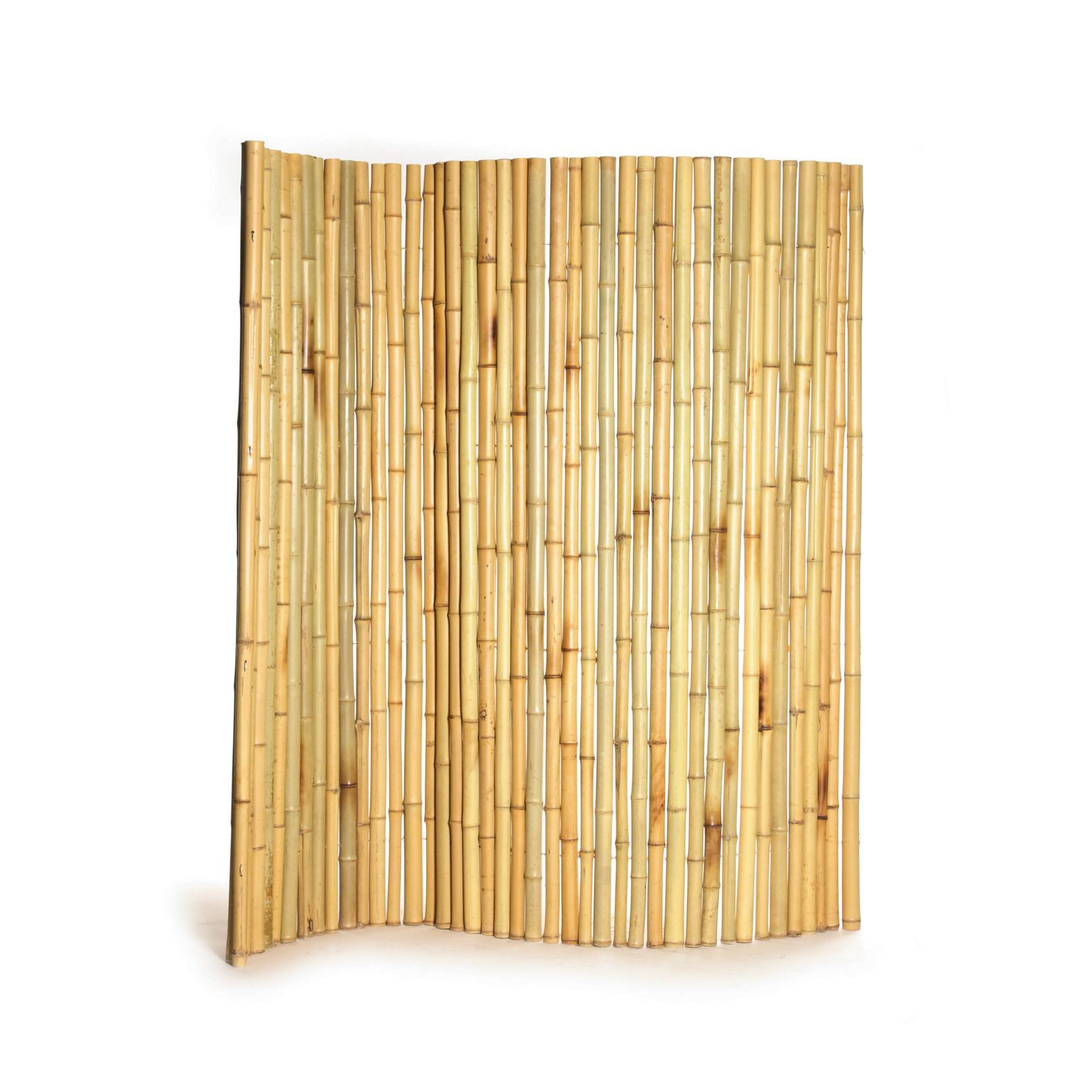 Bambuswand, heller Bambus, B 180 cm, H 180 cm von fischer's lagerhaus