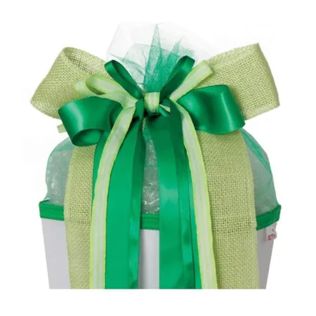 Roth Schultüten Schleife Fresh Green