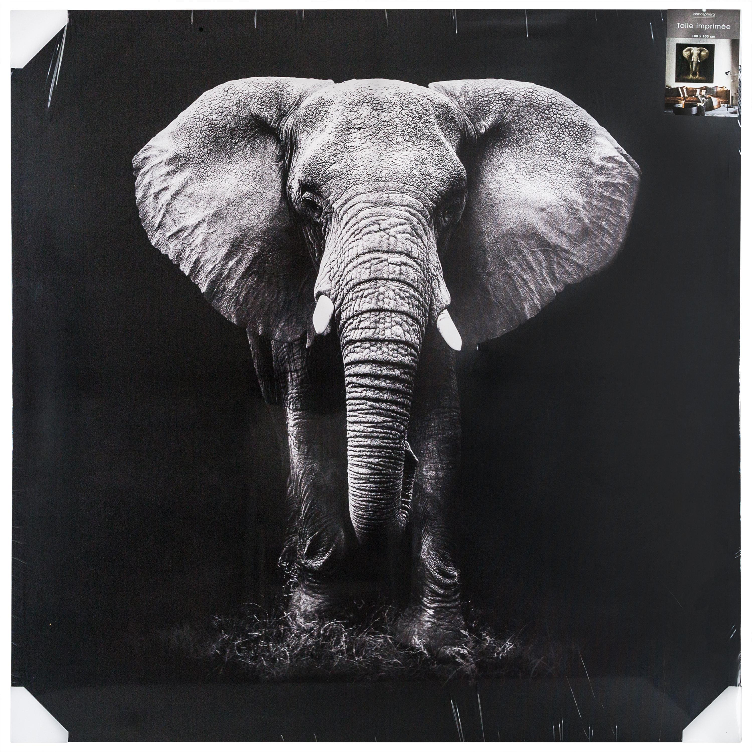 TOILE IMPRIMEE ELEPHANT D.100X100CM