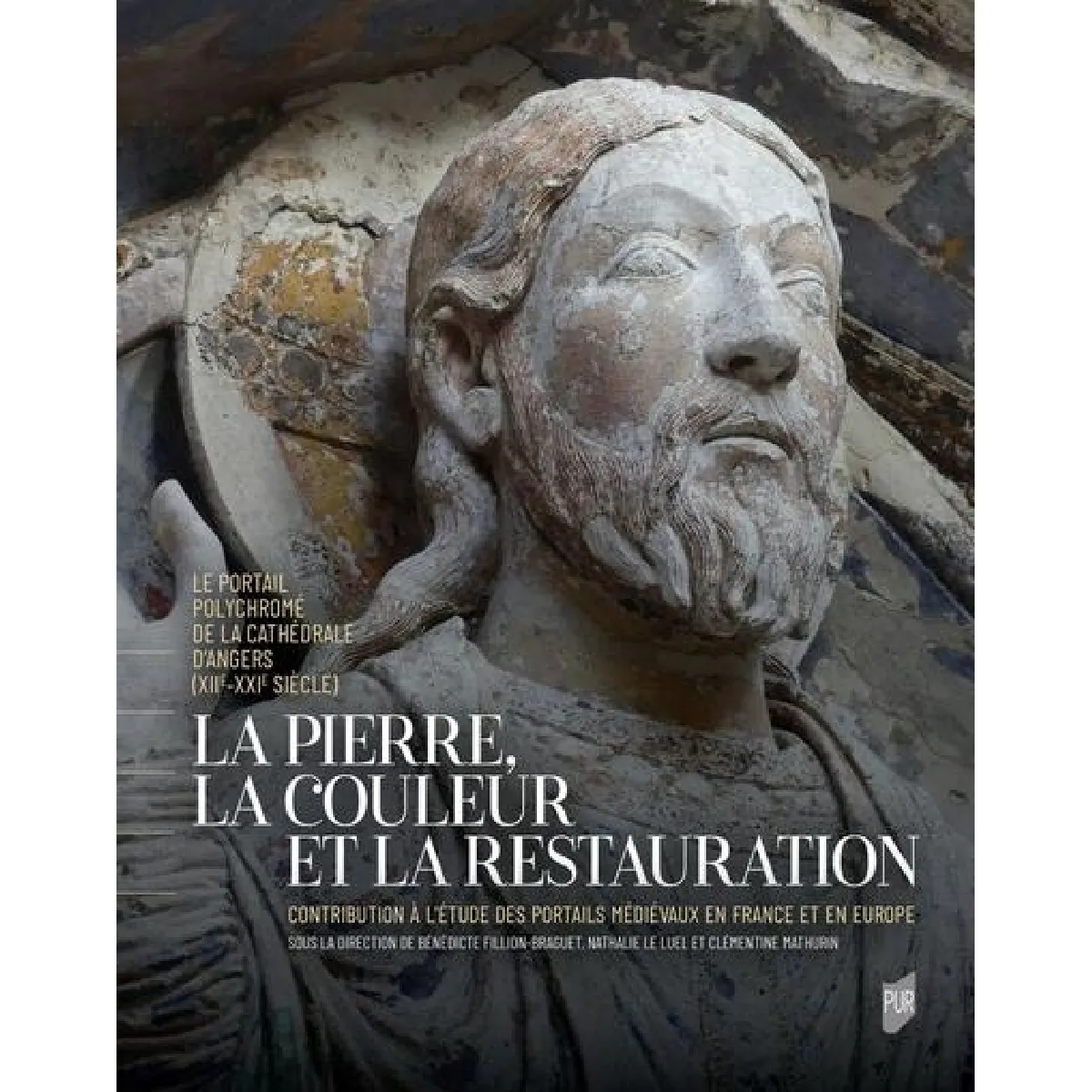 La pierre, la couleur et la restauration : le portail polychromé de la cathédrale d'Angers (XIIe-XXIe siècle) : contribution à l'étude des portails médiévaux en France et en Europe