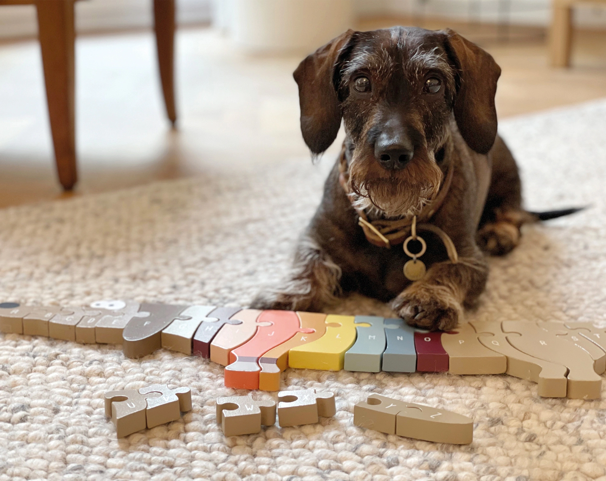 Buchstaben-Puzzle HUND