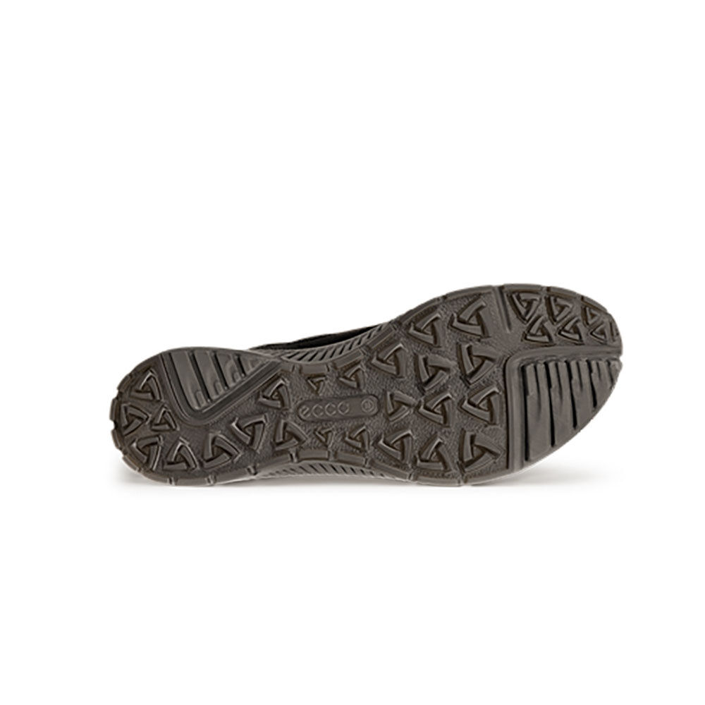 ECCO TERRACRUISE II GTX Damen Sneaker wasserdicht