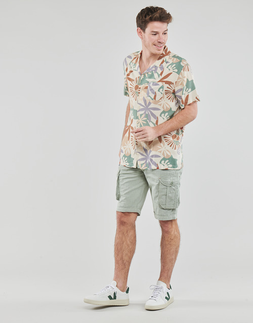 Oxbow - P1CALAMA Multicolor