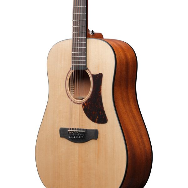 Ibanez AAD1012E-OPN