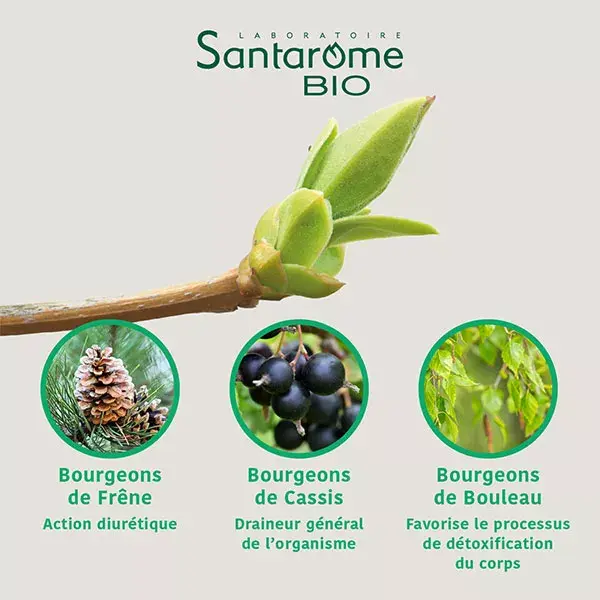 Santarome Bio - Complexo Orgânico de Emagrecimento e Desintoxicação - Frasco de 30ml
