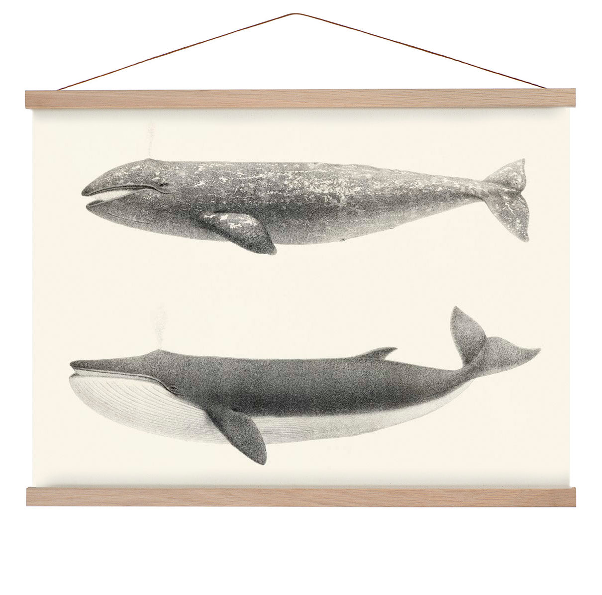 Walpintada und Orka