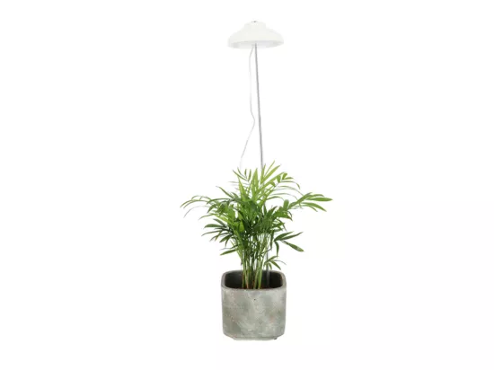 Lampe de croissance pour cultures réglable en inox - Blanc - L 11 x l 11 x H 74,1 cm