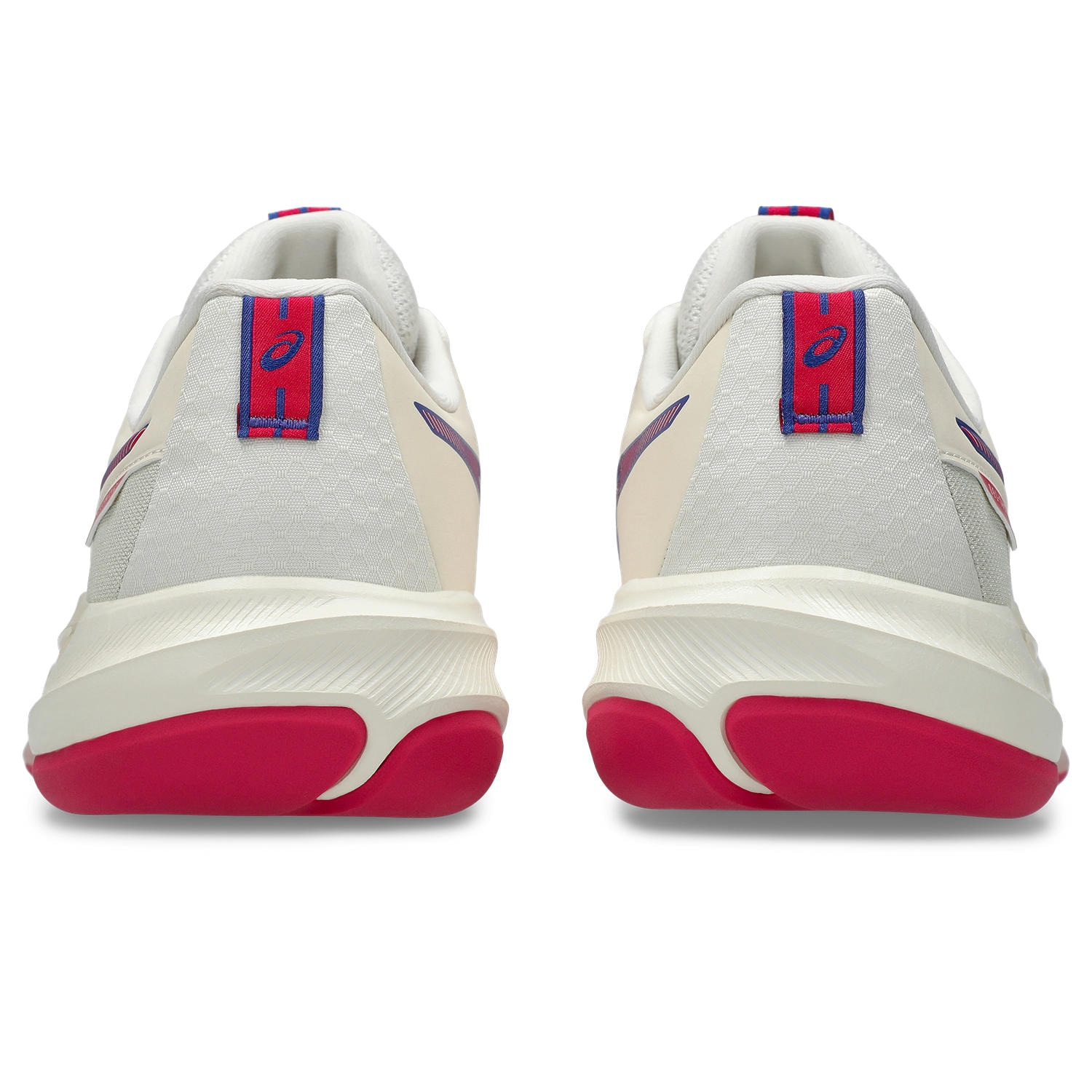 Asics Tennisschuh »GEL-CHALLENGER 15 INDOOR«  für Teppichböden