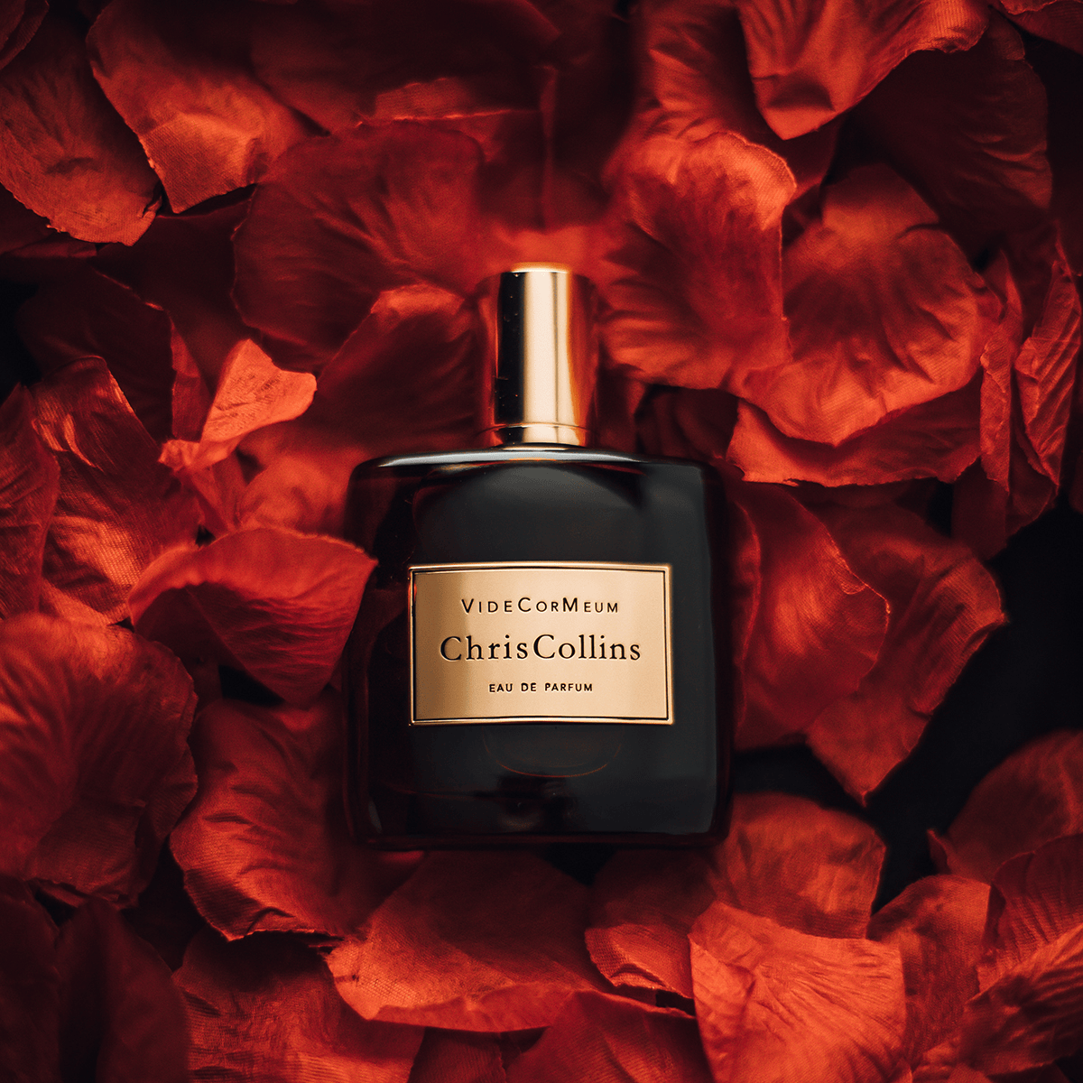 Vide Cor Meum Eau de Parfum 50ml