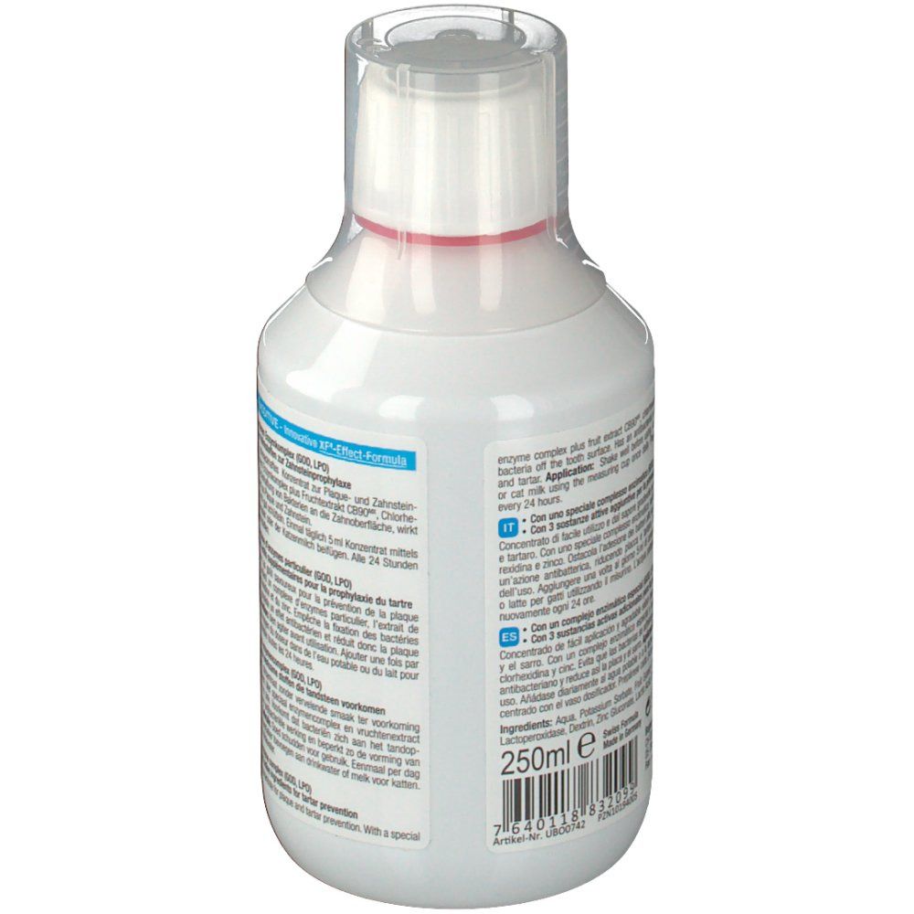 bogadent Dental Water Additive für Katzen