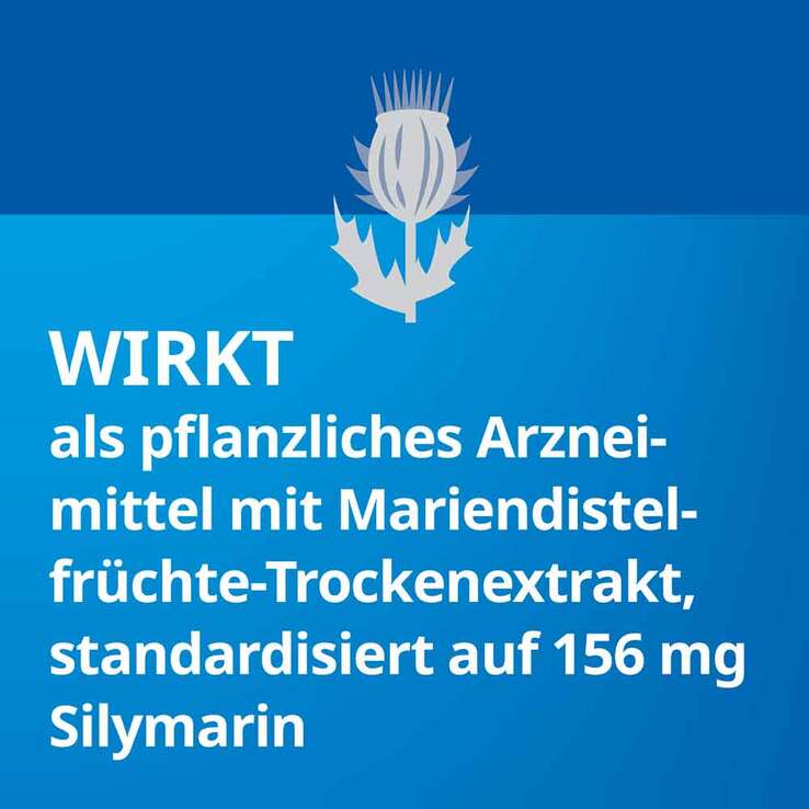 Silymarin STADA 156 mg Hartkapseln, 30 St