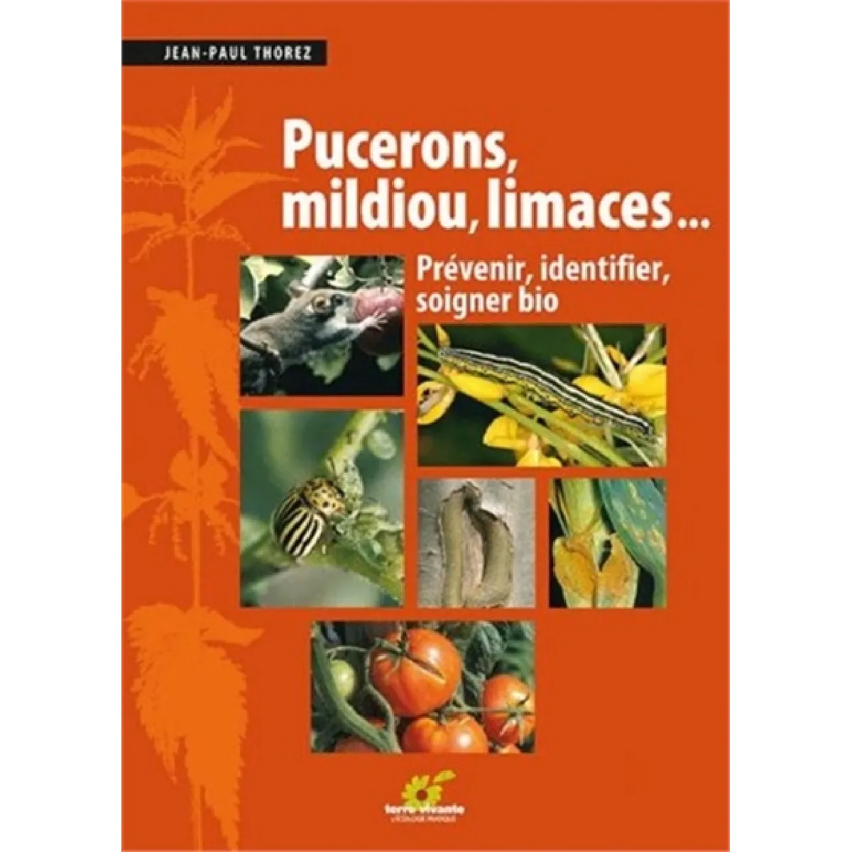 Pucerons, mildiou, limaces... : prévenir, identifier, soigner bio · Occasion