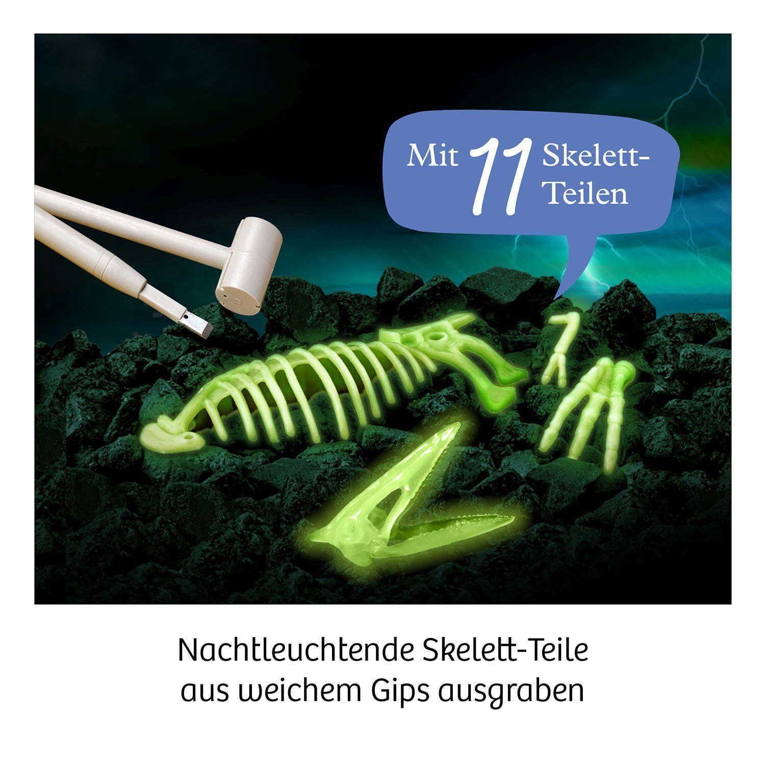 Experimentierkasten NACHTLEUCHTENDER FLUGSAURIER