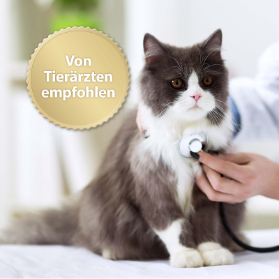Felisept Family Comfort Nachfüllflakon 45ml