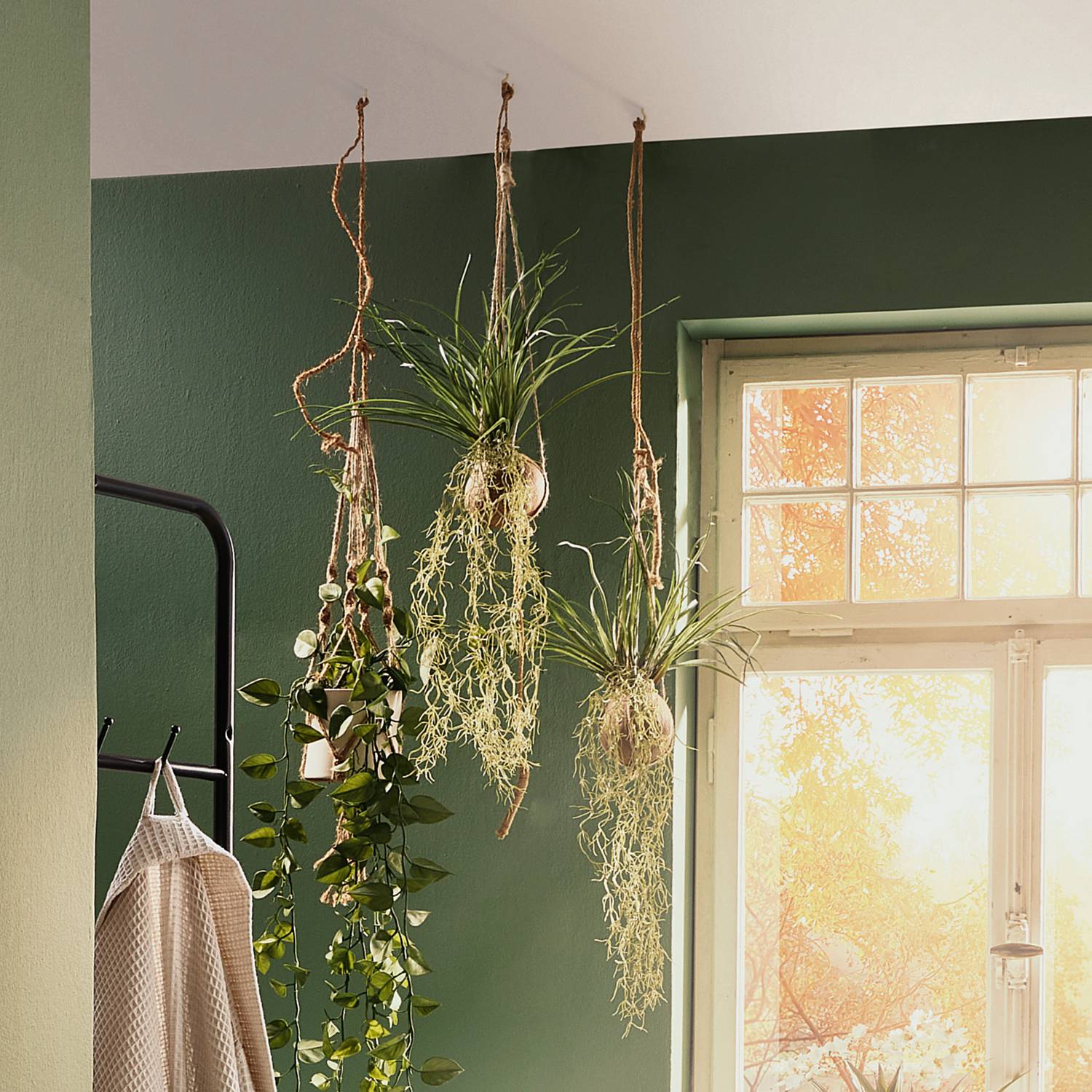 Kunstpflanze Tillandsia Stricta