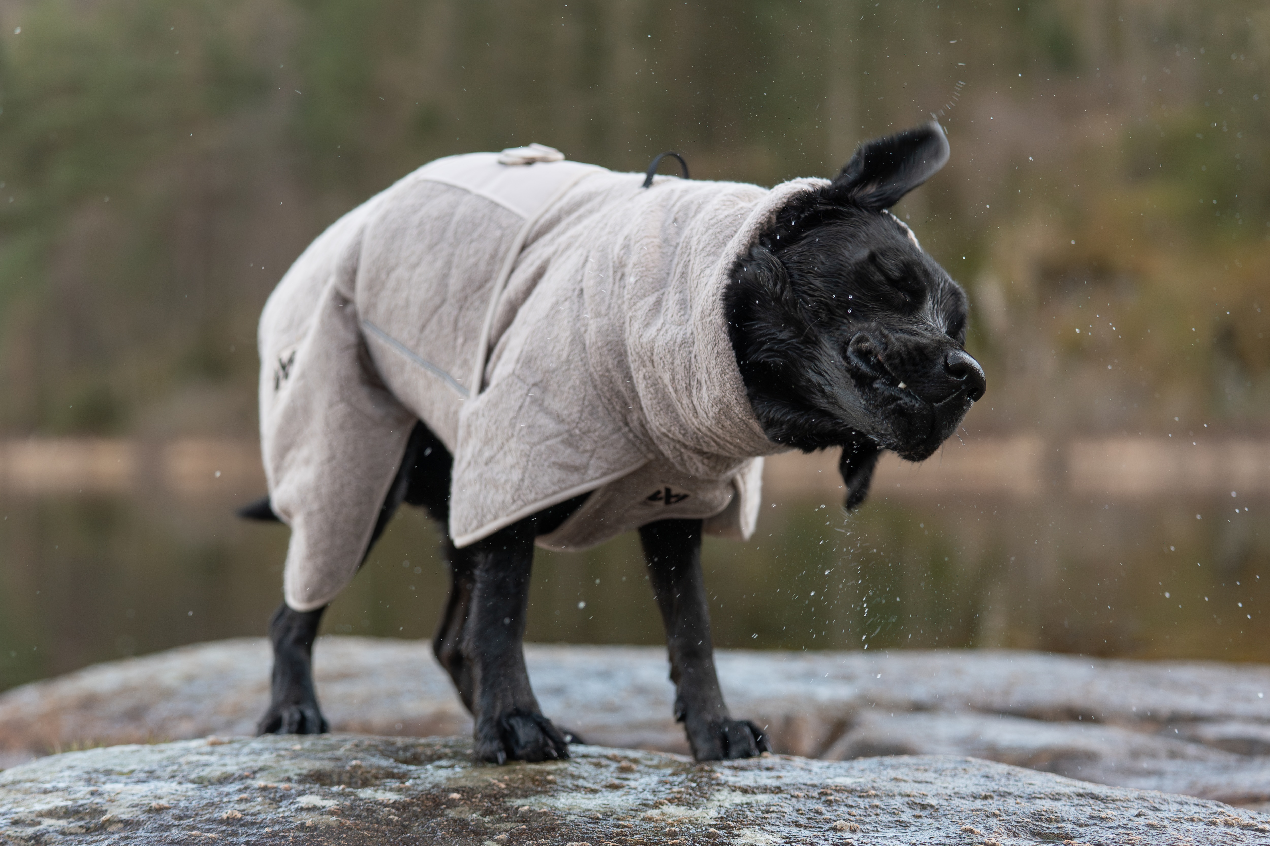 Kjøp Non-Stop Dogwear drying coat fra Hekta på tur!