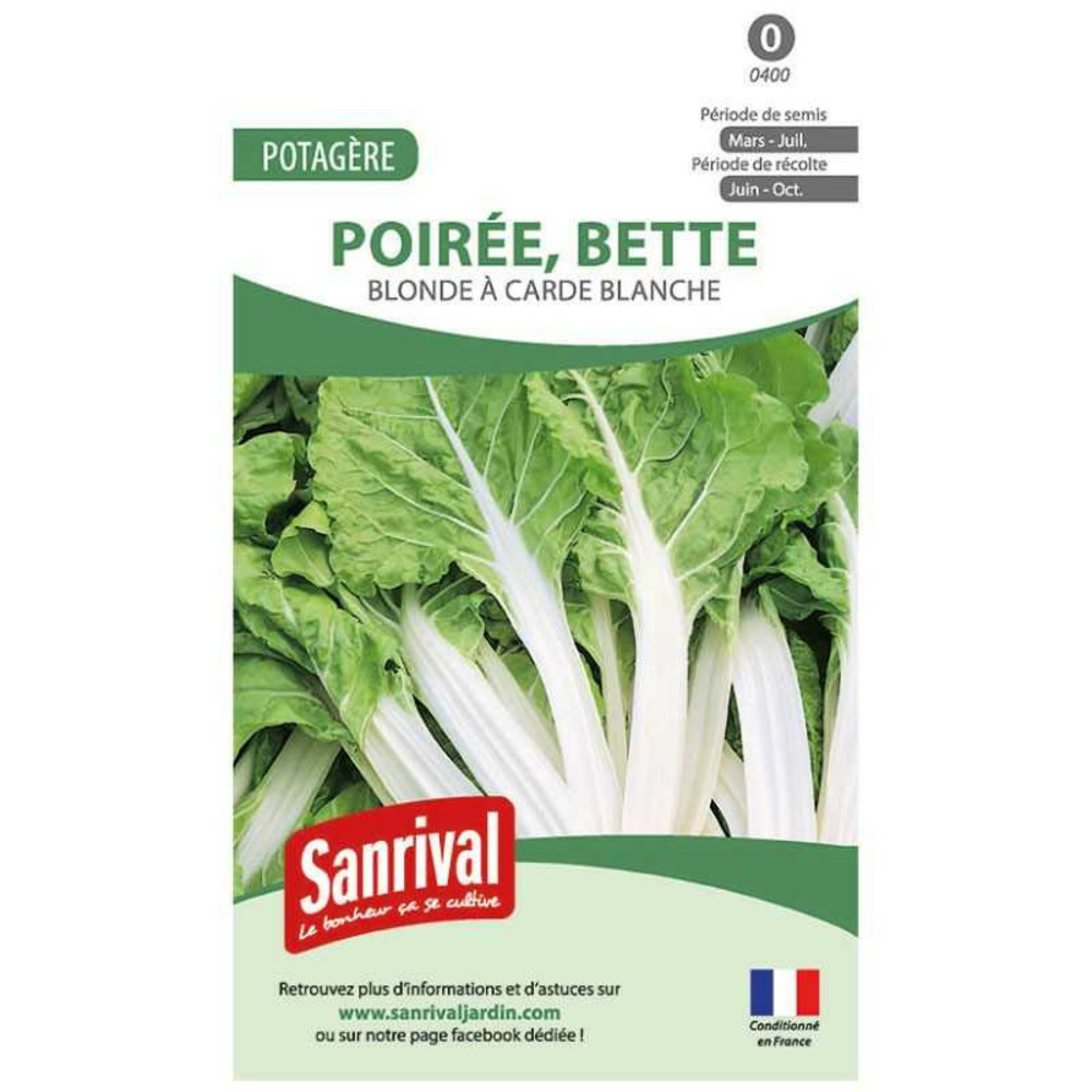 Graine de blette