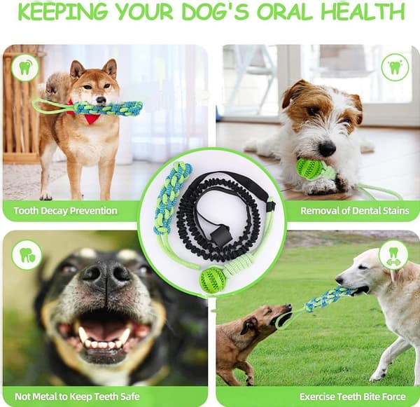 INF Hundedraktball