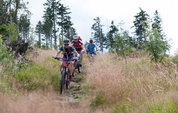 Mountainbike Grundkurs in Viechtach als Geschenk