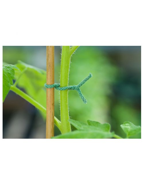 Nature Jute Bindtouw Groen Met Ijzeren Kern 5 m - Klim-En Geleide Artikel