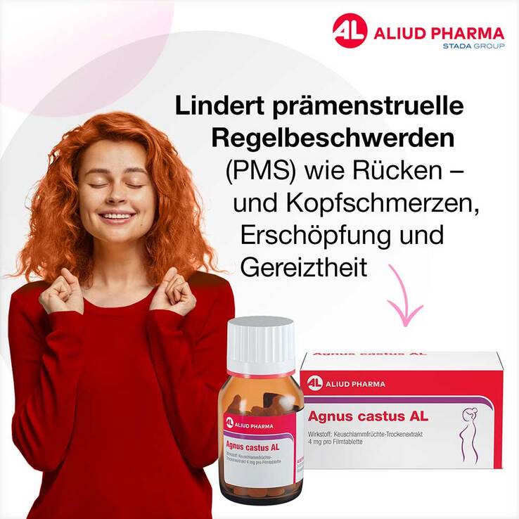 AGNUS CASTUS AL Filmtabletten, 100 St