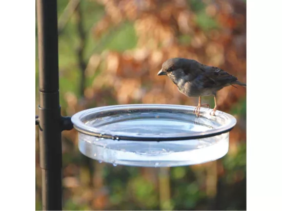 Grande station d'alimentation pour oiseaux