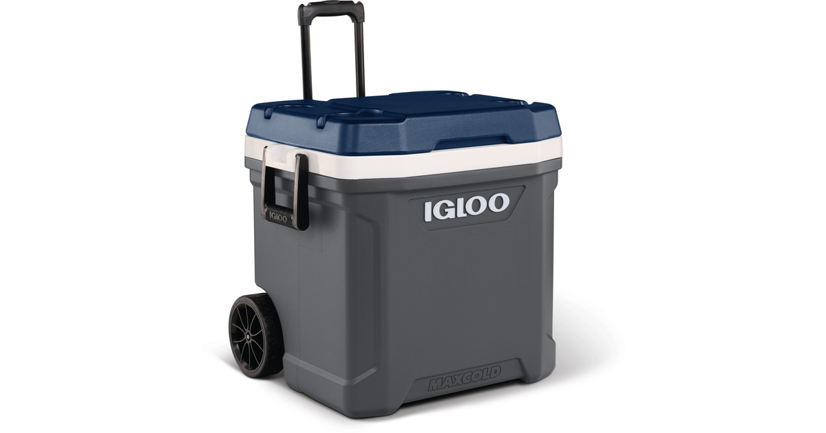 IglooMaxcold 62, 59 liter koelbox  (Grijs)