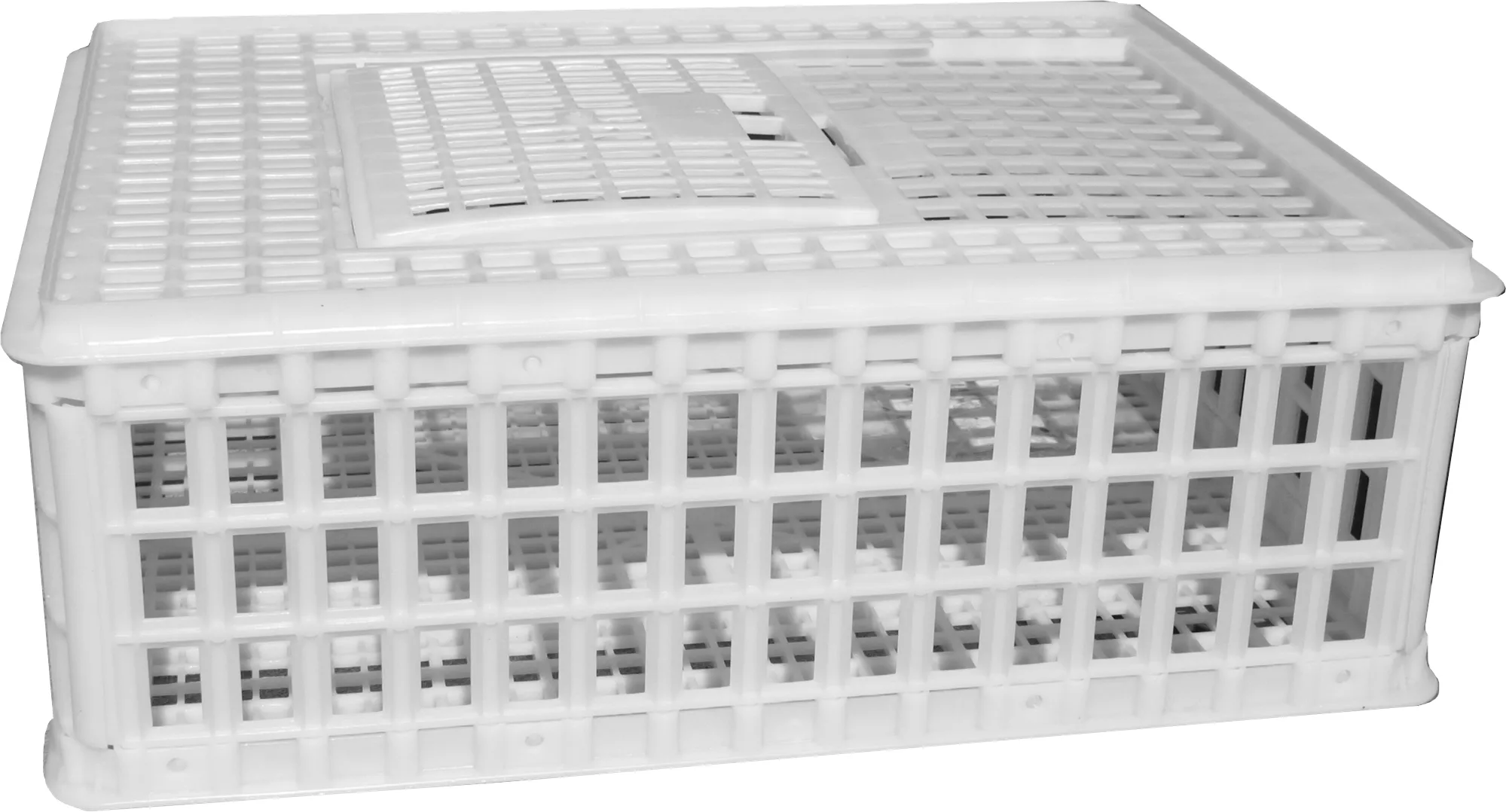 CAL Sanketeine 75x55x26cm Plast