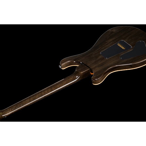PRS Special 22 SH Private Stock CG