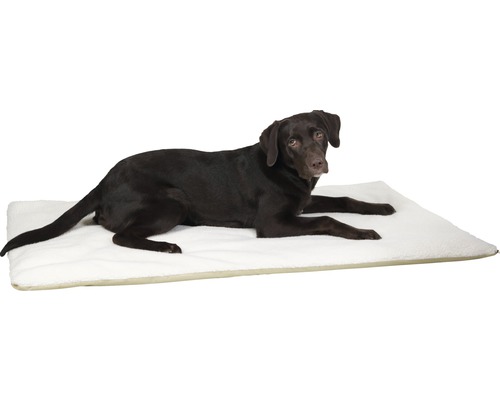 Theo zelfverwarmend ligbedkussen 120x75 cm beige
