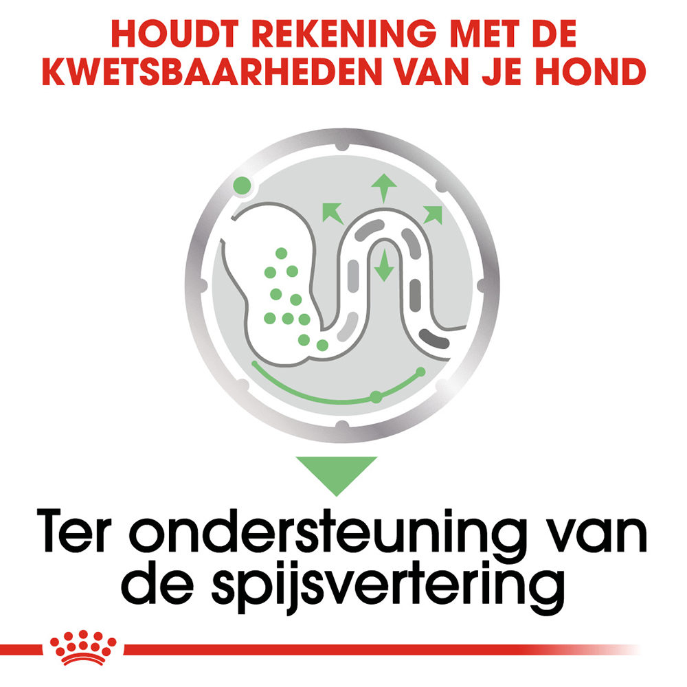 Royal Canin Digestive Care Wet - Hondenvoer
