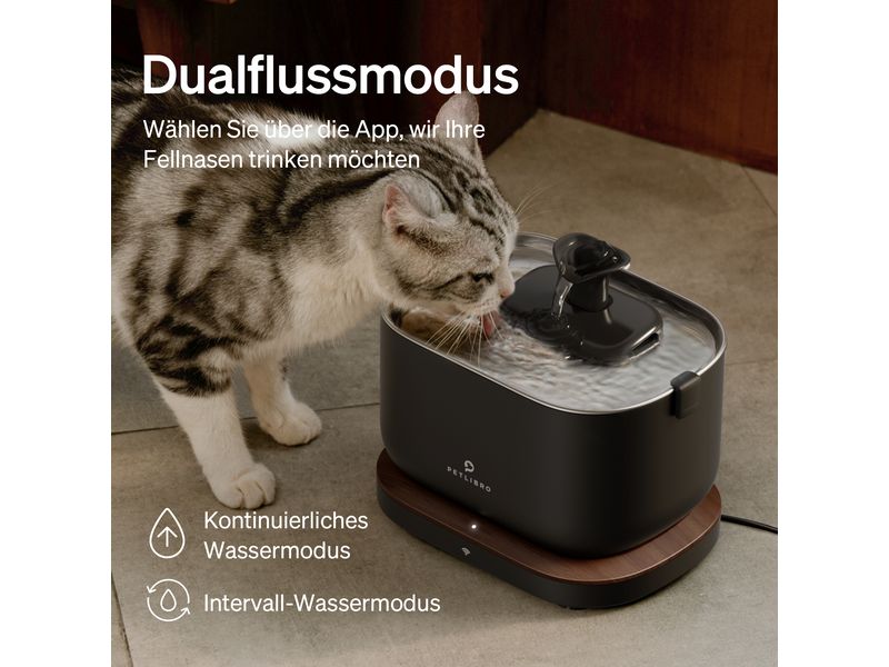 Petlibro Dockstream intelligenter Katzenbrunnen Schwarz Intelligenter Trinkbrunnen mit App-Steuerung für Haustiere