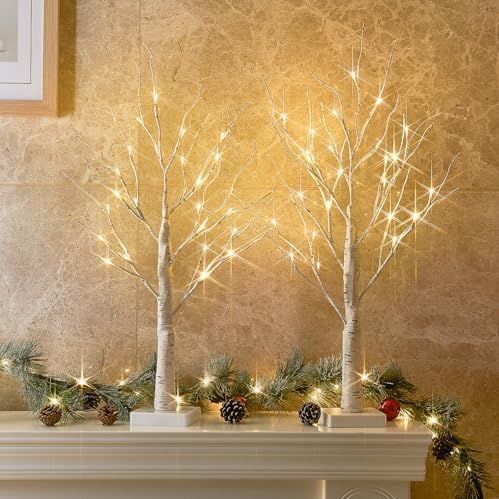 EAMBRITE - Lichtjesboom - Berkenboompje - 60 cm - Set van 2 stuks - 24 LEDs Warmwit