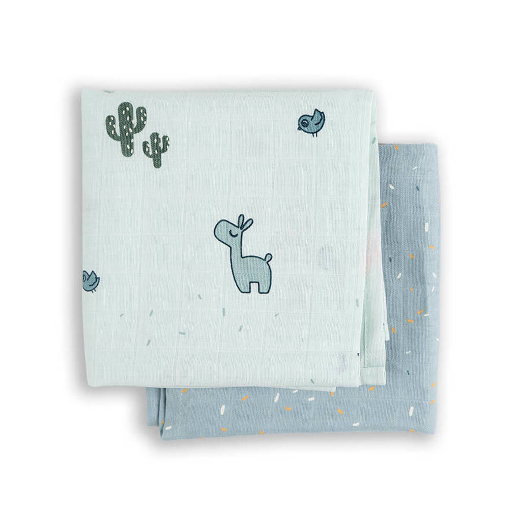 hydrofiele doek - set van 2 blue