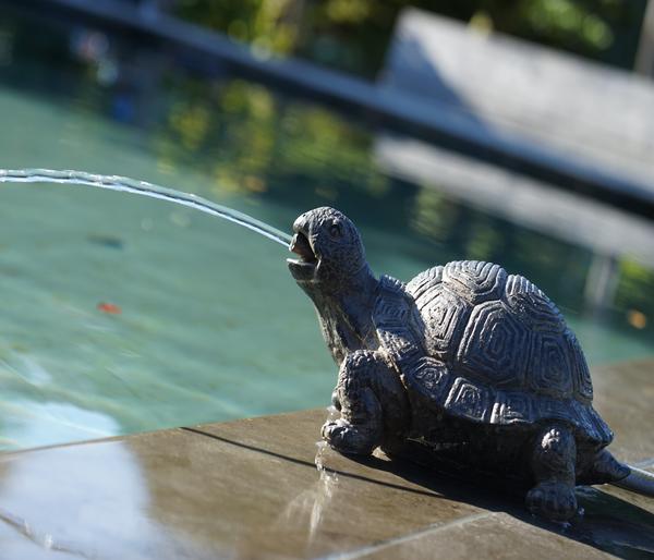 Ubbink Polyresin-Wasserspeier Schildkröte,