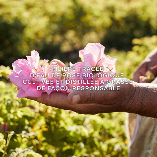 Aqua Allegoria Harvest Rosa Rossa GUERLAIN